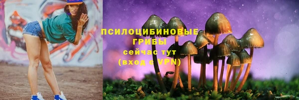 молекула духа Верея