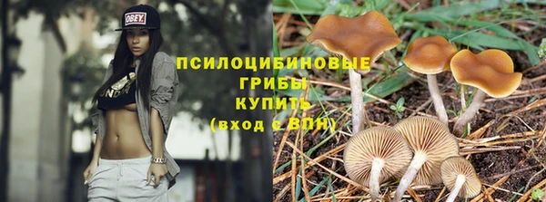 марки lsd Верхний Тагил